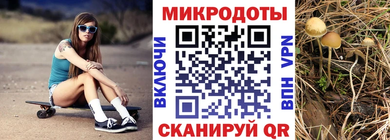 Купить  Будённовск  Галлюциногенные грибы GOLDEN TEACHER 
